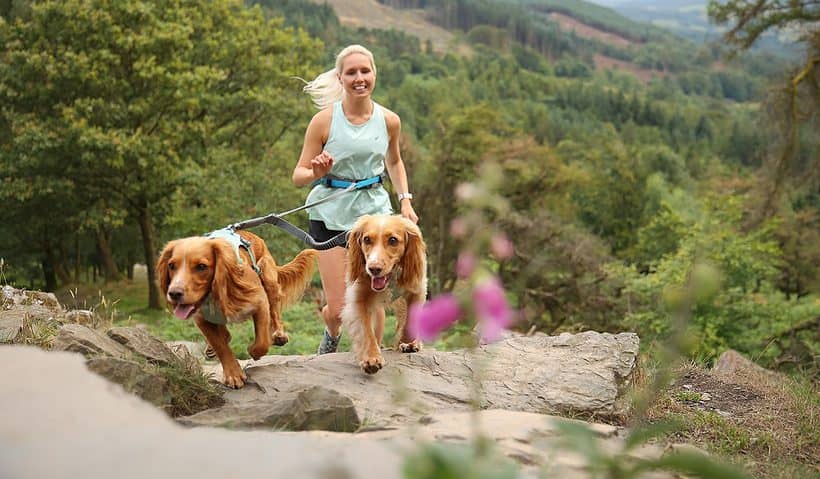 Ruffwear is set to run with new collection
