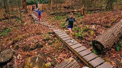 Steady Run on a Wooden Trail Bridge in Forest Dense with Fallen Autumn Leaves and Tall Trees.