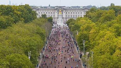 Crowd of runners participating in a marathon along a tree-lined avenue leading to a historic building in the background.