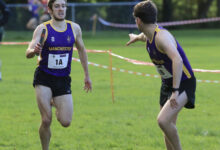Two male runners competing in a cross country race on a grassy field, wearing purple and yellow uniforms, with trees in the background.